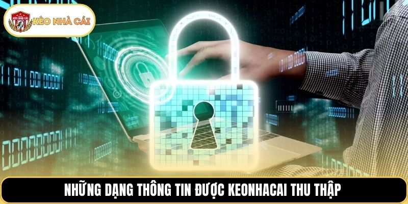 Những dạng thông tin được keonhacai thu thập